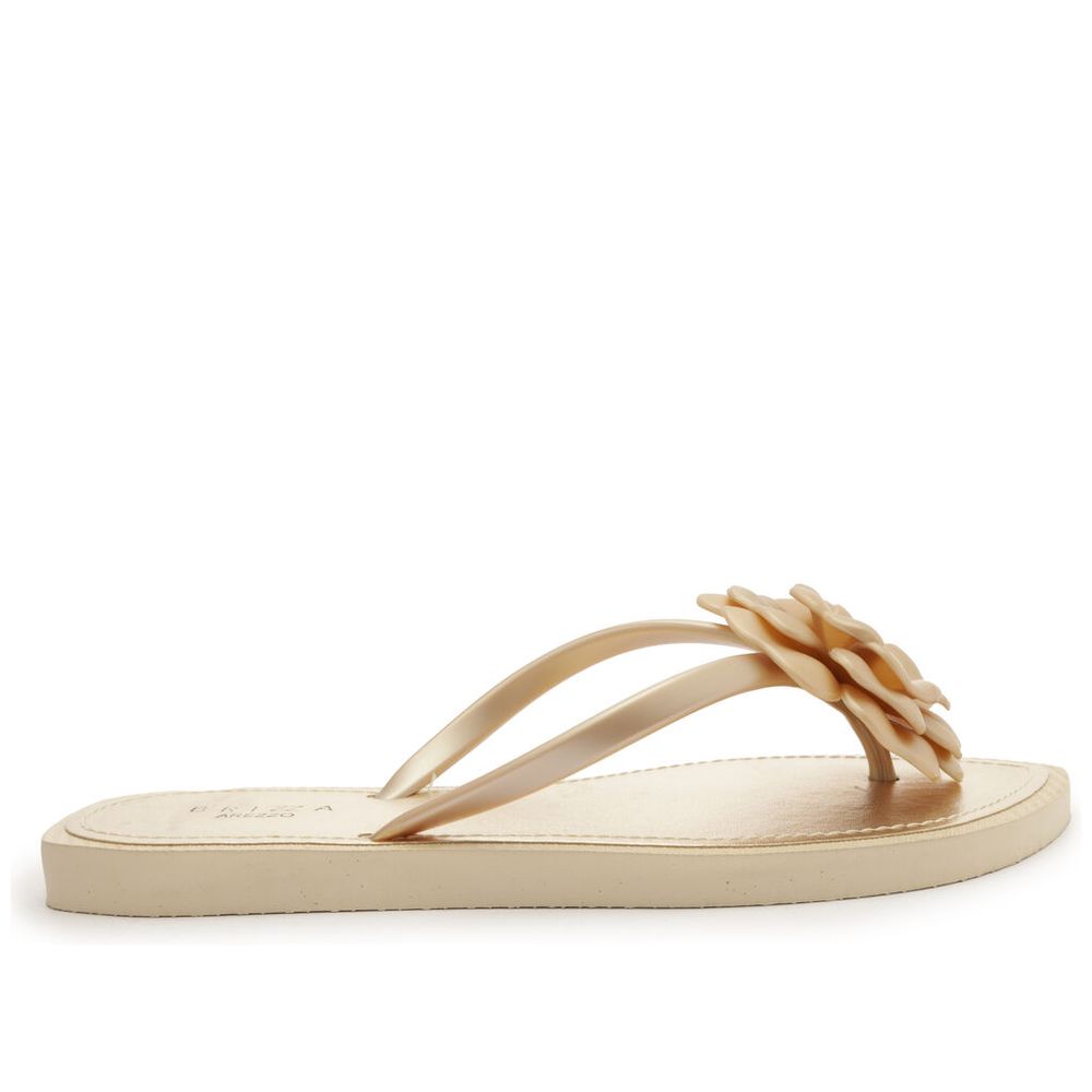 chinelo-brizza-de-dedo-cintilante-flor-flash-z19062-1 chinelo-brizza-de-dedo-cintilante-flor-flash-z19062-1
