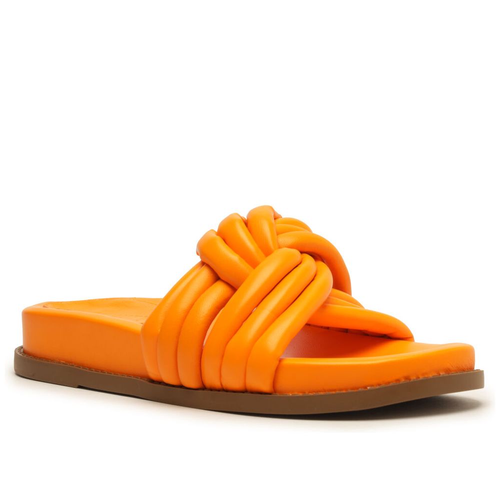 slide-schutz-laranja-no-1 slide-schutz-laranja-no-1