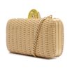 bolsa-arezzo-clutch-pequena-tramado-verano-2