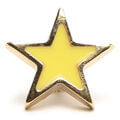 acessorio-enfeite-pin-estrela-arezzo-1