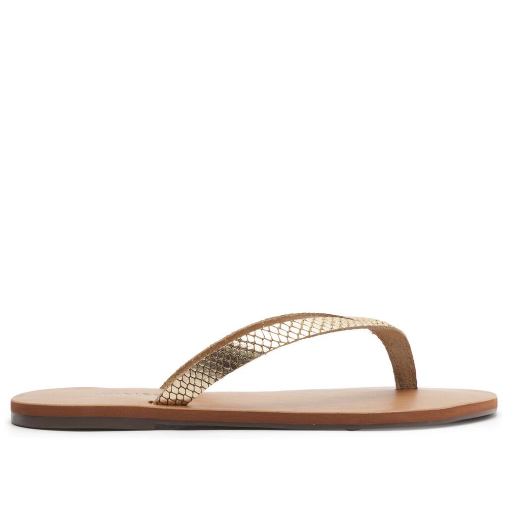 sandalia-anacapri-rasteira-slim-tira-unica-couro-dourada-snake-1 sandalia-anacapri-rasteira-slim-tira-unica-couro-dourada-snake-1