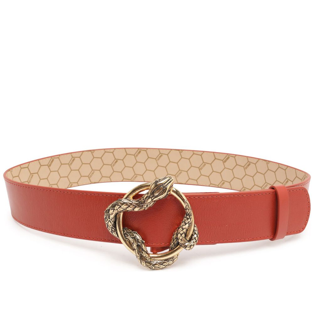 cinto-arezzo-medio-laranja-fivela-serpente-1 cinto-arezzo-medio-laranja-fivela-serpente-1
