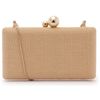 bolsa-arezzo-clutch-bege-palha-bordado-abacaxi-4 bolsa-arezzo-clutch-bege-palha-bordado-abacaxi-4