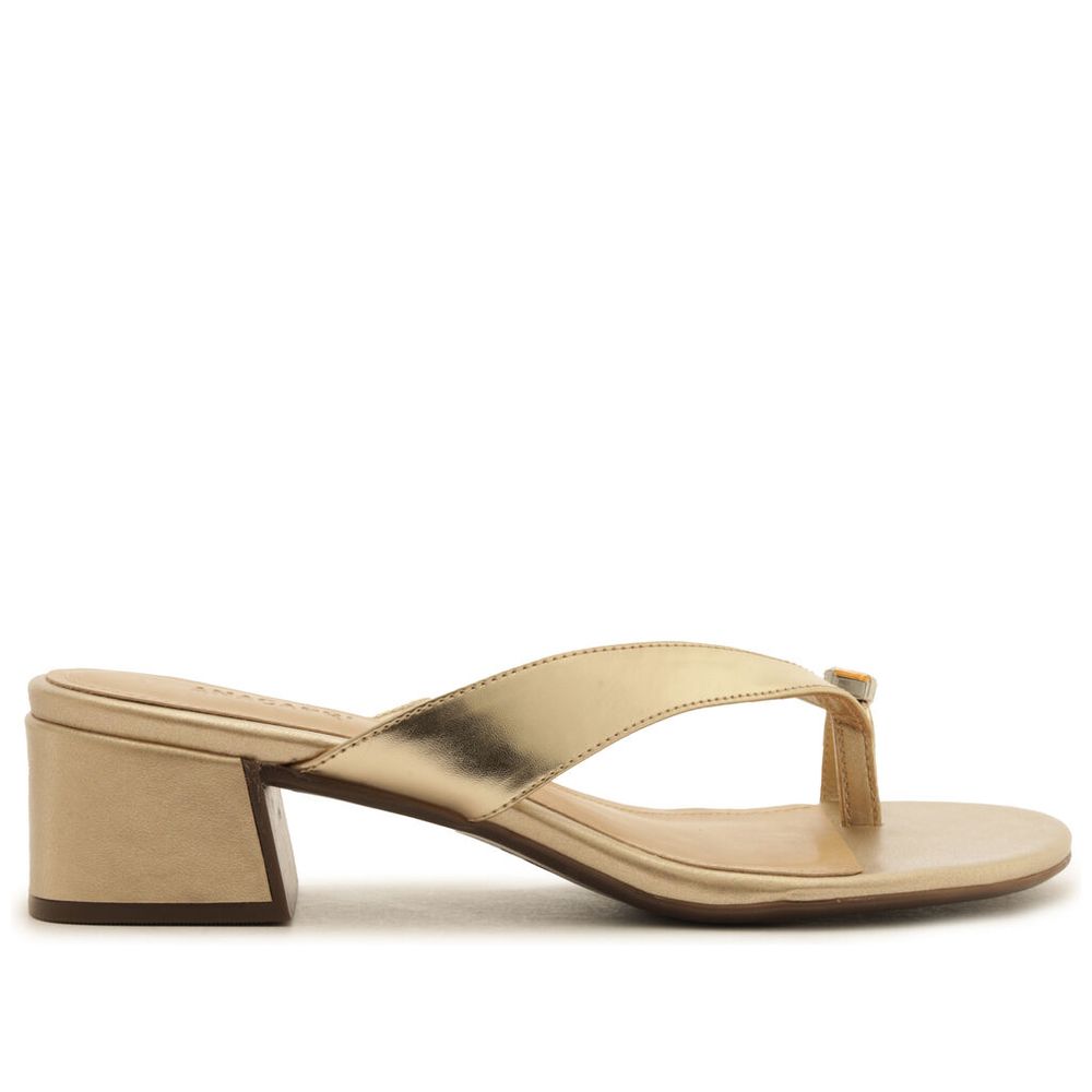 tamanco-anacapri-pedraria-dourada-1 tamanco-anacapri-pedraria-dourada-1